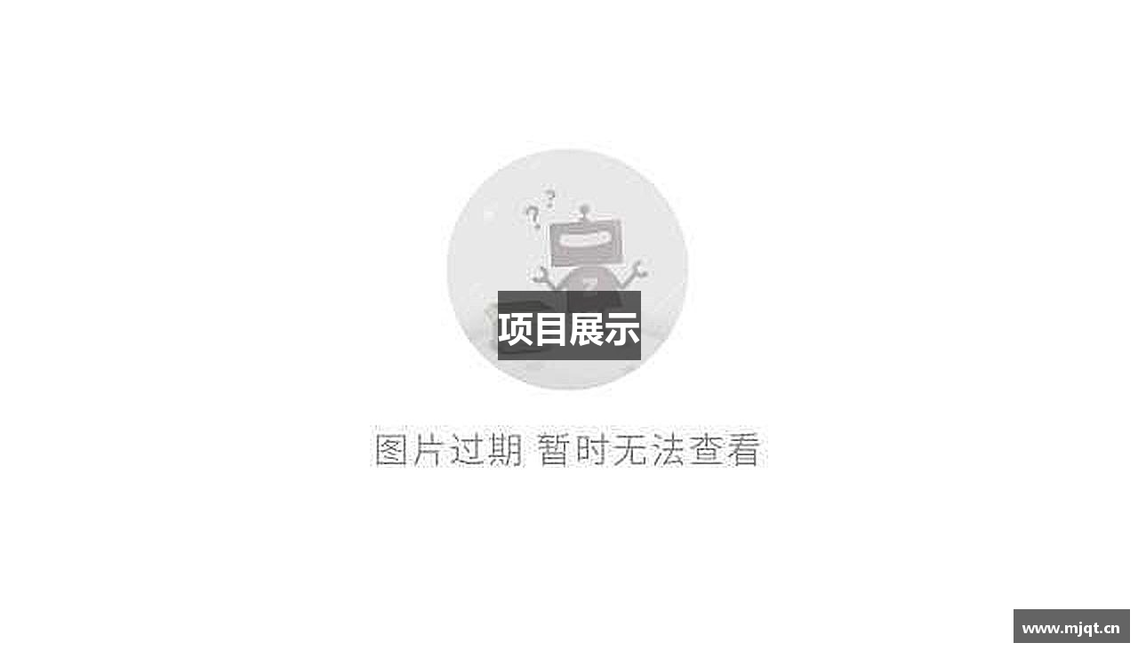 项目展示